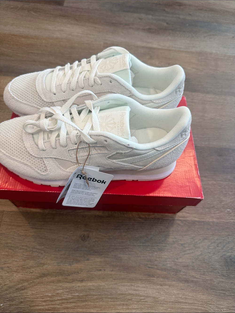 Reebok Men White Suede & Mesh Retro Sneakers